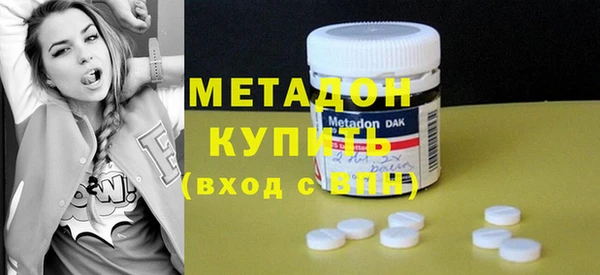 шишки Верея
