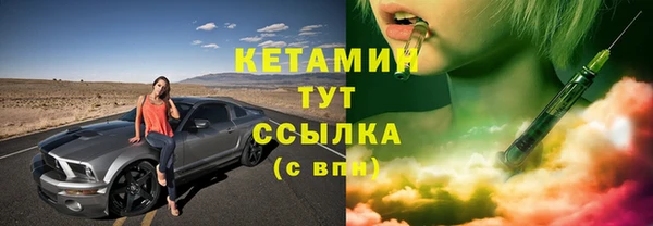 шишки Верея