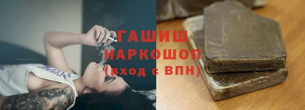 шишки Верея