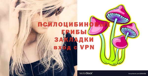 шишки Верея